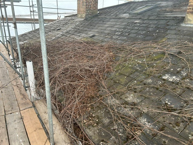 Exterior wall of a property inspected for asbestos after a building survey